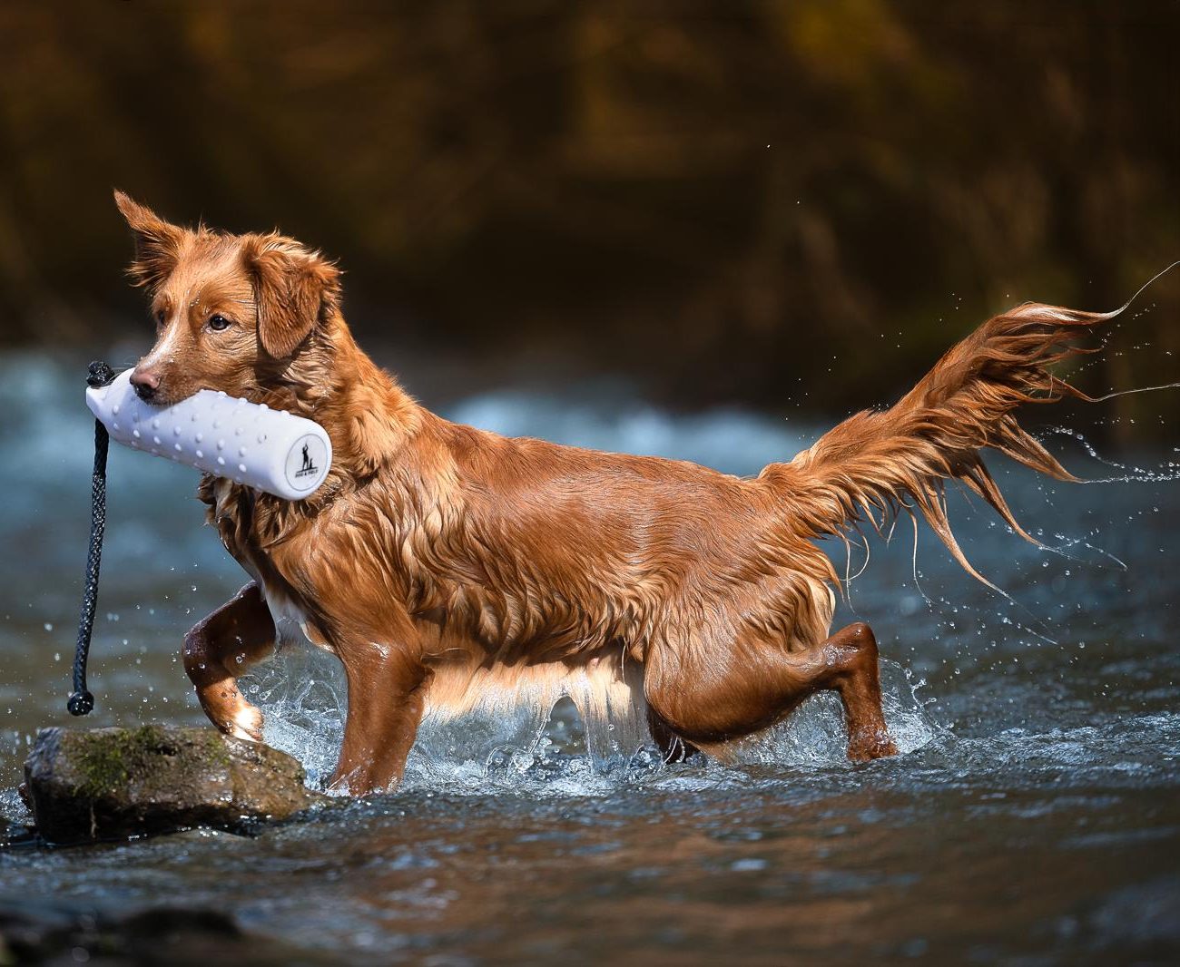 (c) Beate Schmahl PHOTOGRAPHIE
